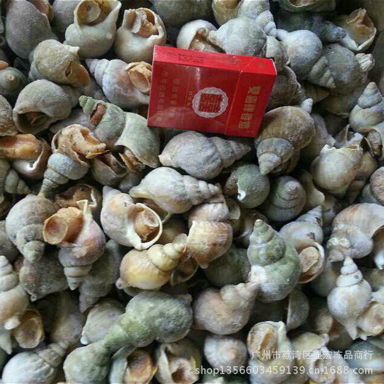 【【显宏】 冷冻粗加工水产品 加拿大翡翠螺 酒