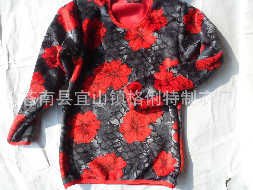 SAM_0293
