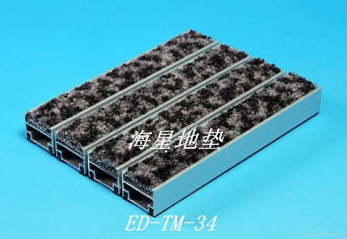 ED-TM-34海星