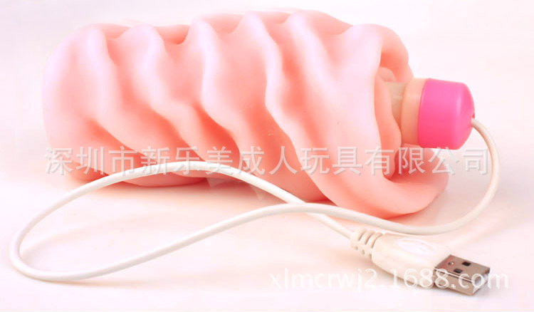 加溫棒6