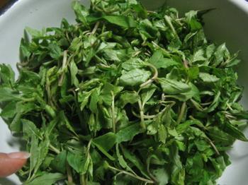 【地方特色绿色健康蔬菜枸杞尖(枸杞叶)滋补肝肾,益精明目】价格,厂家,图片,野生菜类,曲靖市麒麟区新华蔬菜销售店-马可波罗网