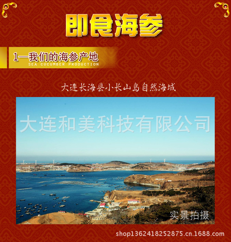 【大连海参即食海参5-12头海参海参大大麦叶枯病图片