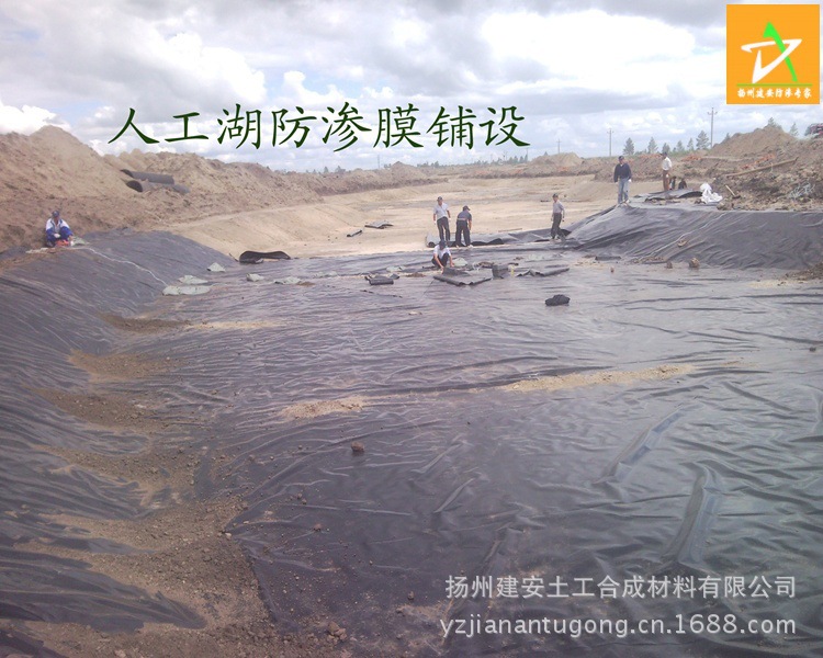 SNC00425副本-002_conew1