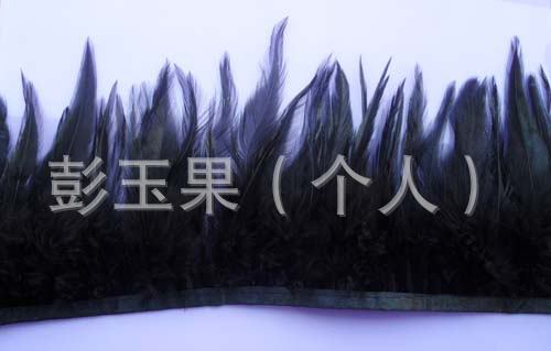黑尖布带