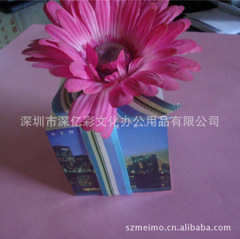 DSC00457_副本