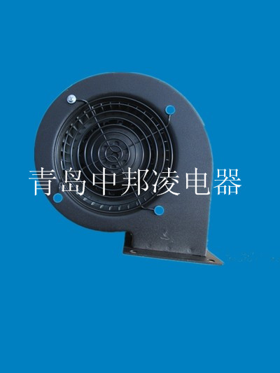 IMG_2194_副本_副本