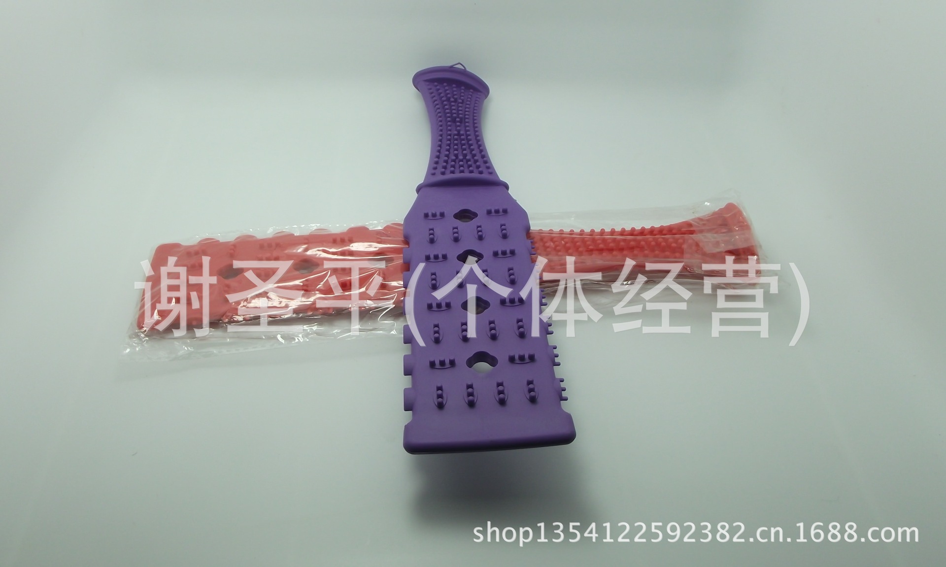 DSCF2831