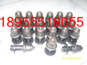 2012033057405489s_副本