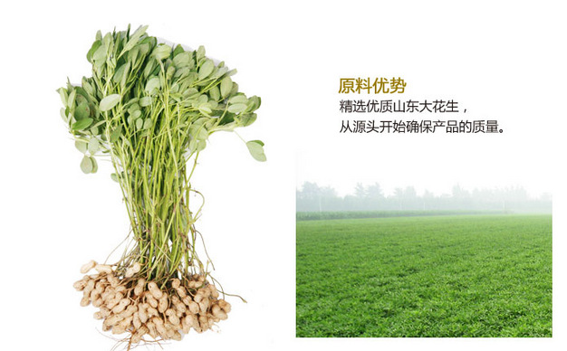 魯花 5S壓榨 花生油 非轉(zhuǎn)基因1L