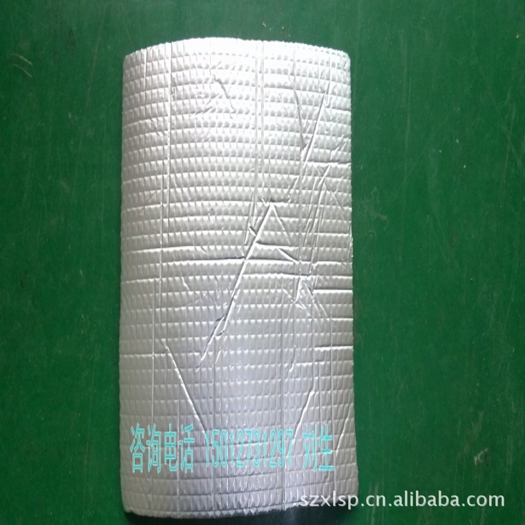 IMG_20130116_171838_conew2