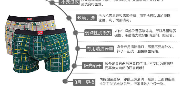 模板_06