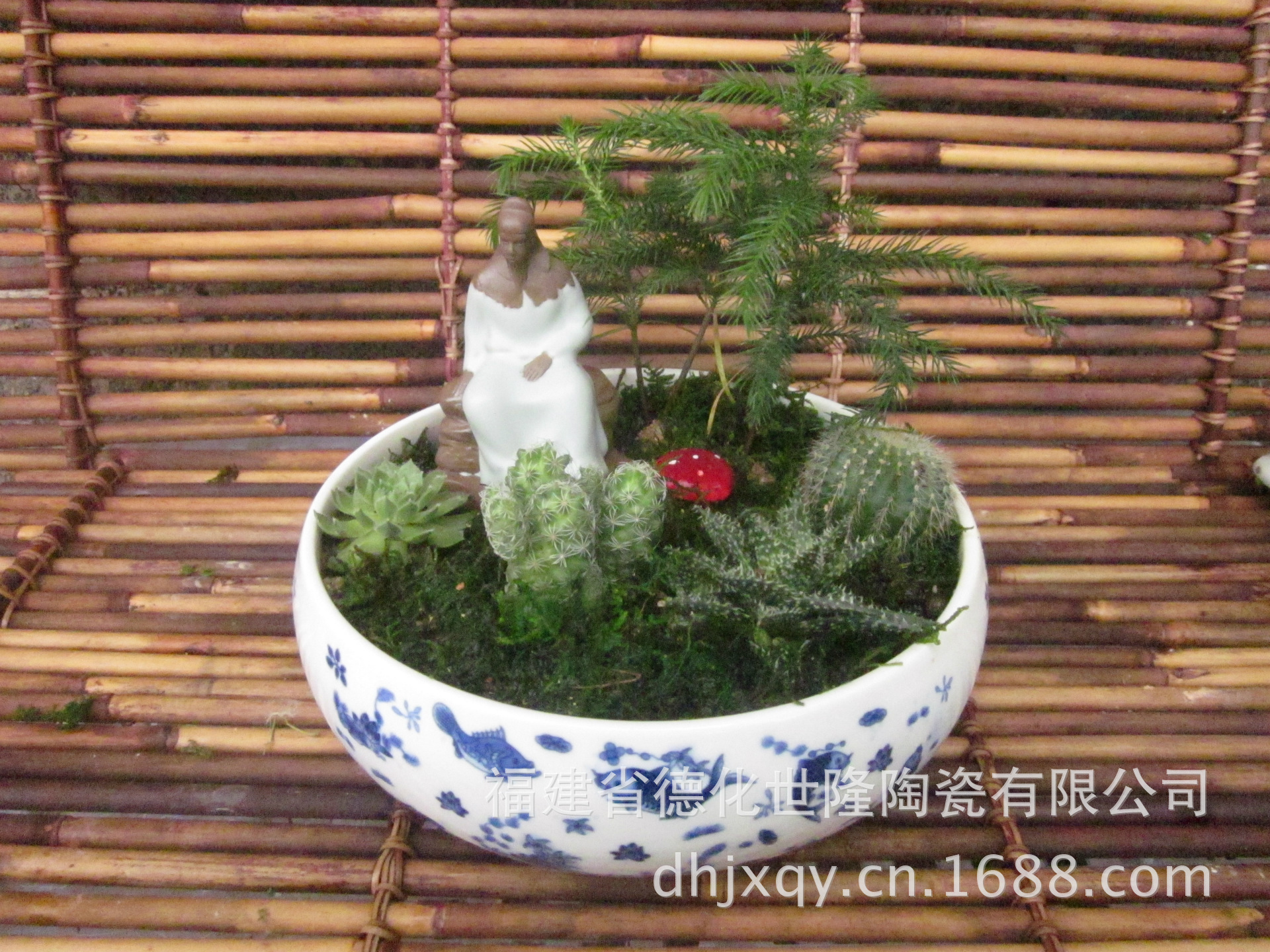 【小森林种子 花卉 植物种子 小盆栽种子 桌面盆