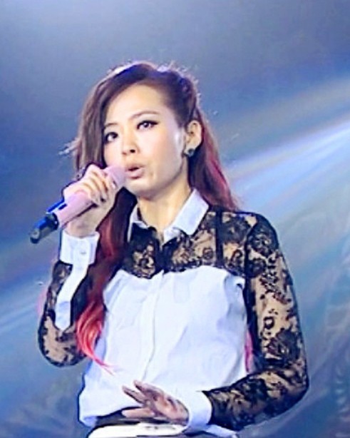 式衬衫-2013新款湖南卫视跨年演唱会张靓颖同