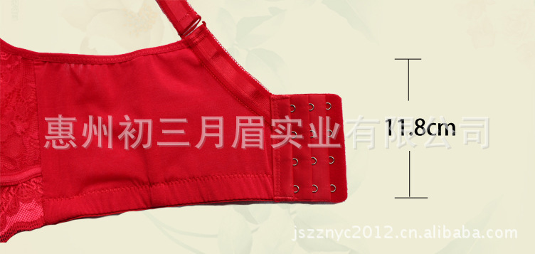 <em>文胸</em>-集思供应 性感镂空蕾丝花面聚拢<em>文胸</em> <em>3D</em>