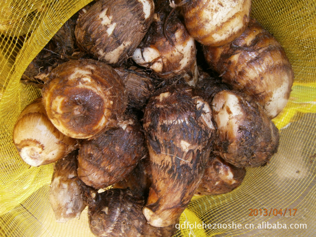 块茎类-安丘特产8520香芋 毛芋头 佛乐合作社