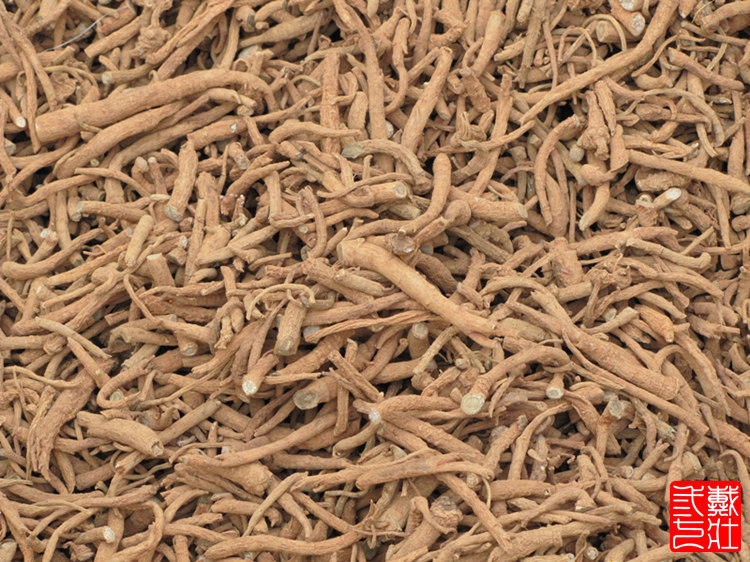 植物原药材-供应文山三七大根(优质产品三年生