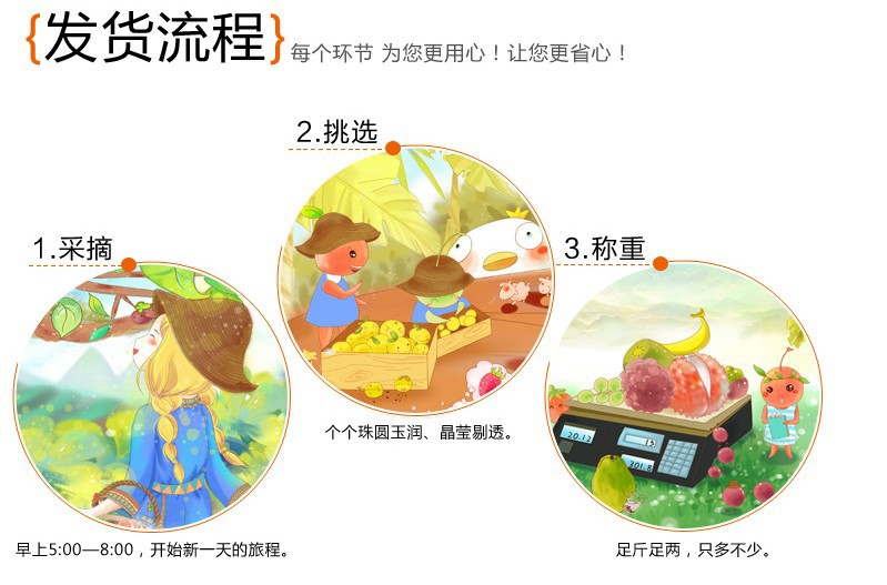 海南新鲜红毛丹 产地现摘新鲜水果图片,海南新