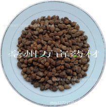 海南中药材种植_中药材价格_优质中药材批发