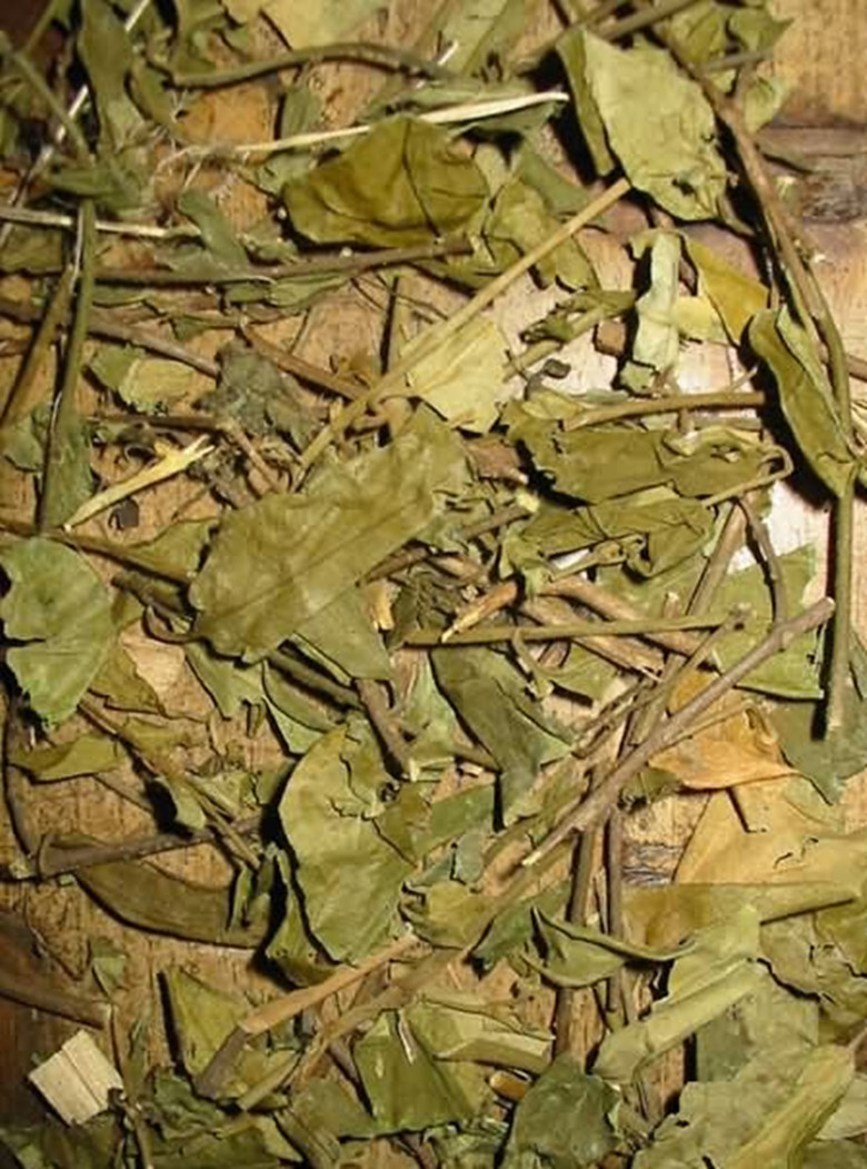 20101228140733802_副本