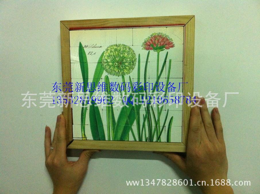 出口积木玩具印花机.j2