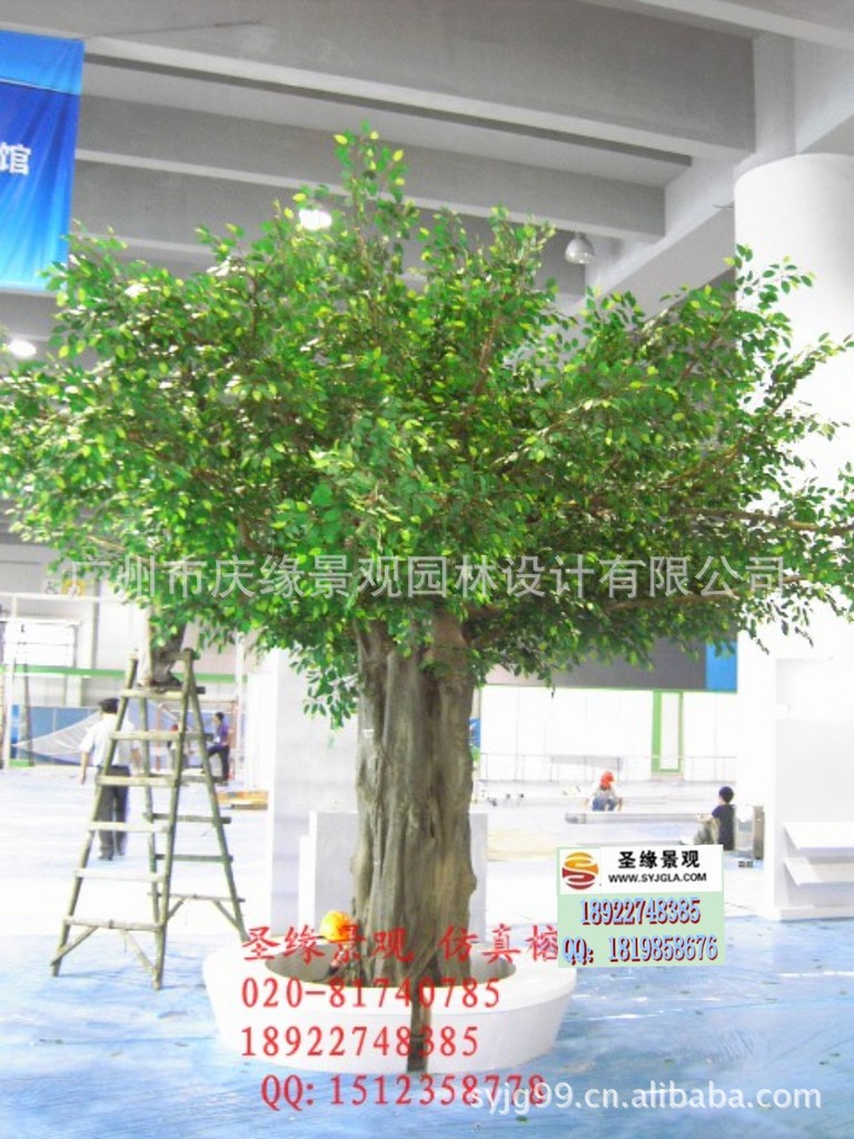 conew_conew_仿真榕树no2