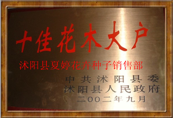 【量大优惠 <em>大叶女贞</em> <em>大叶女贞苗</em> 粗<em>1公分</em>-12公