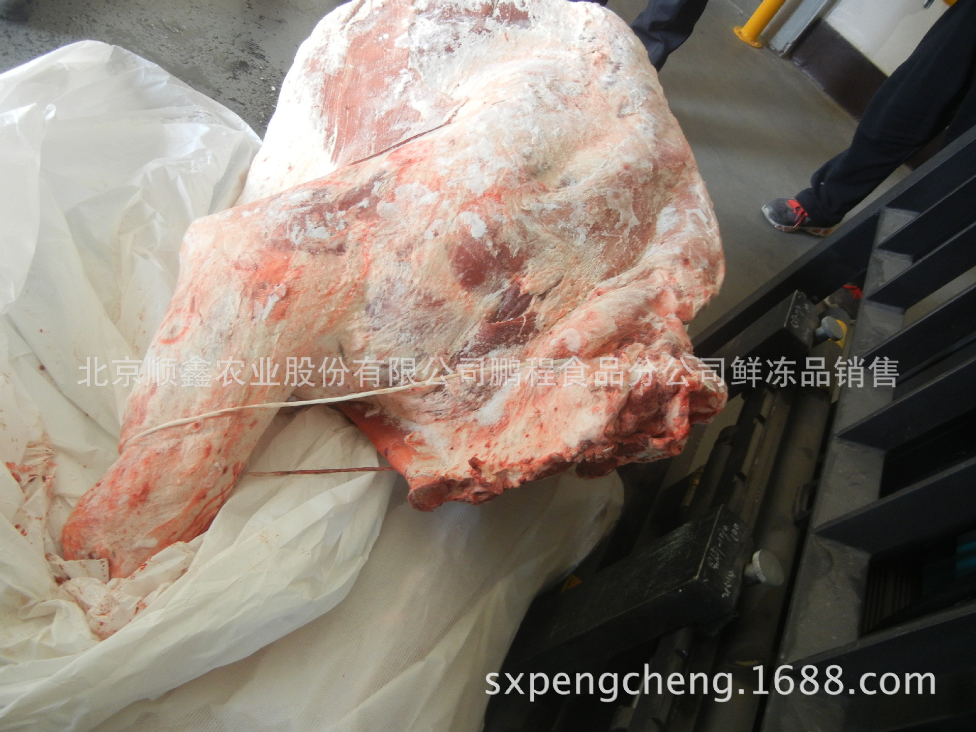 jbs 澳大利亚牛四分体进口牛肉图片_4