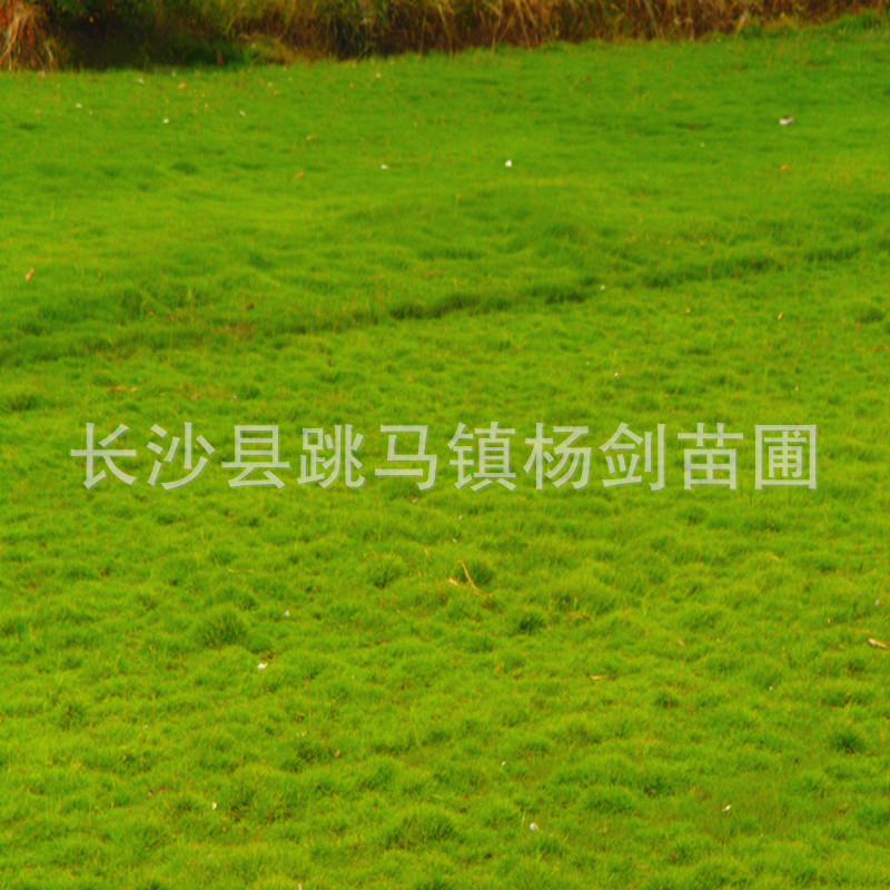DSC01642_副本