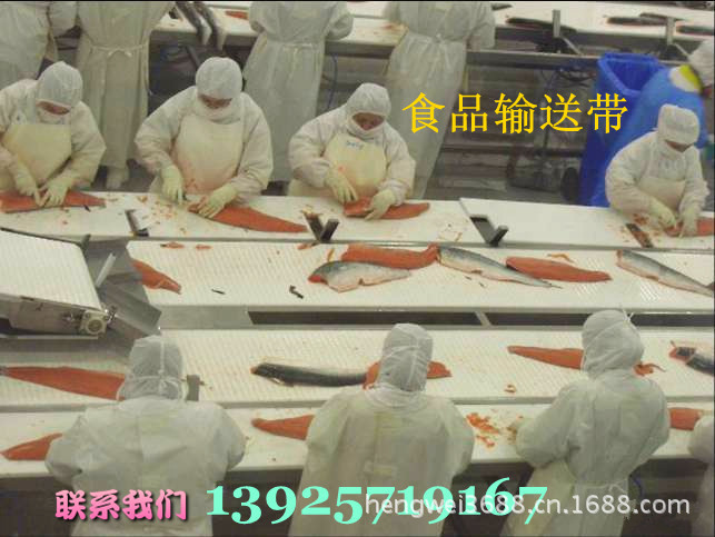 食品输送带1