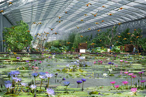 【花卉种植、观赏、交易市场温室大棚】