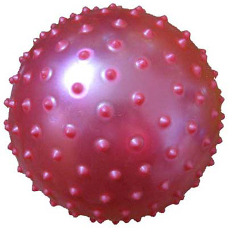 【供应沙滩排球，足球，按摩球，羊角球】价格,厂家,图片,球类玩具,上海建庆运动用品有限公司-马可波罗网