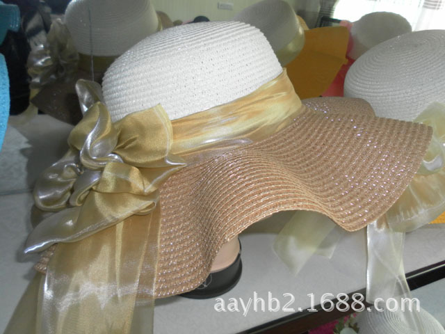 外销内销新款草帽上市