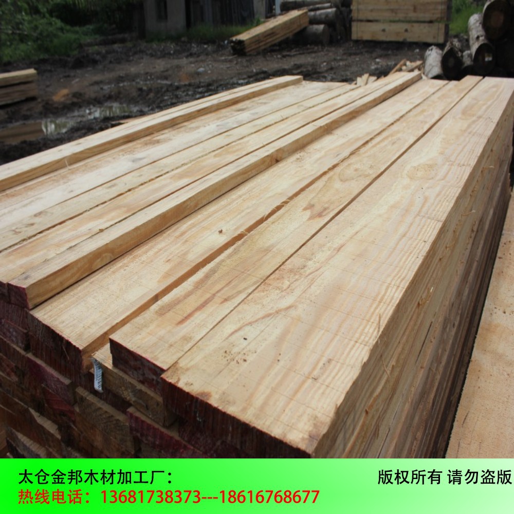 conew_conew_img_0194