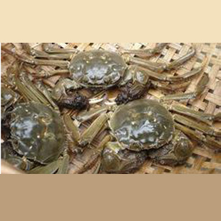 u=2542165057,3832597478&fm=21&