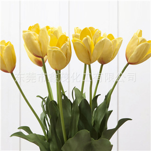 62ef9cee8cc51bb6b0aba7bec785_8