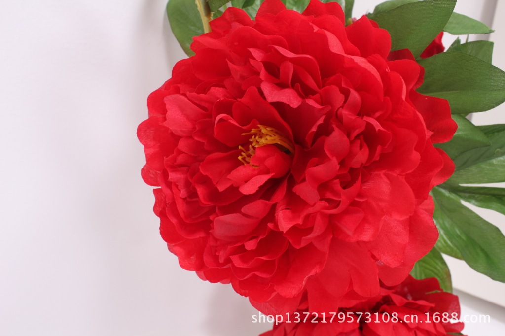 3头苞牡丹5（3-Head Peony)SJB0815