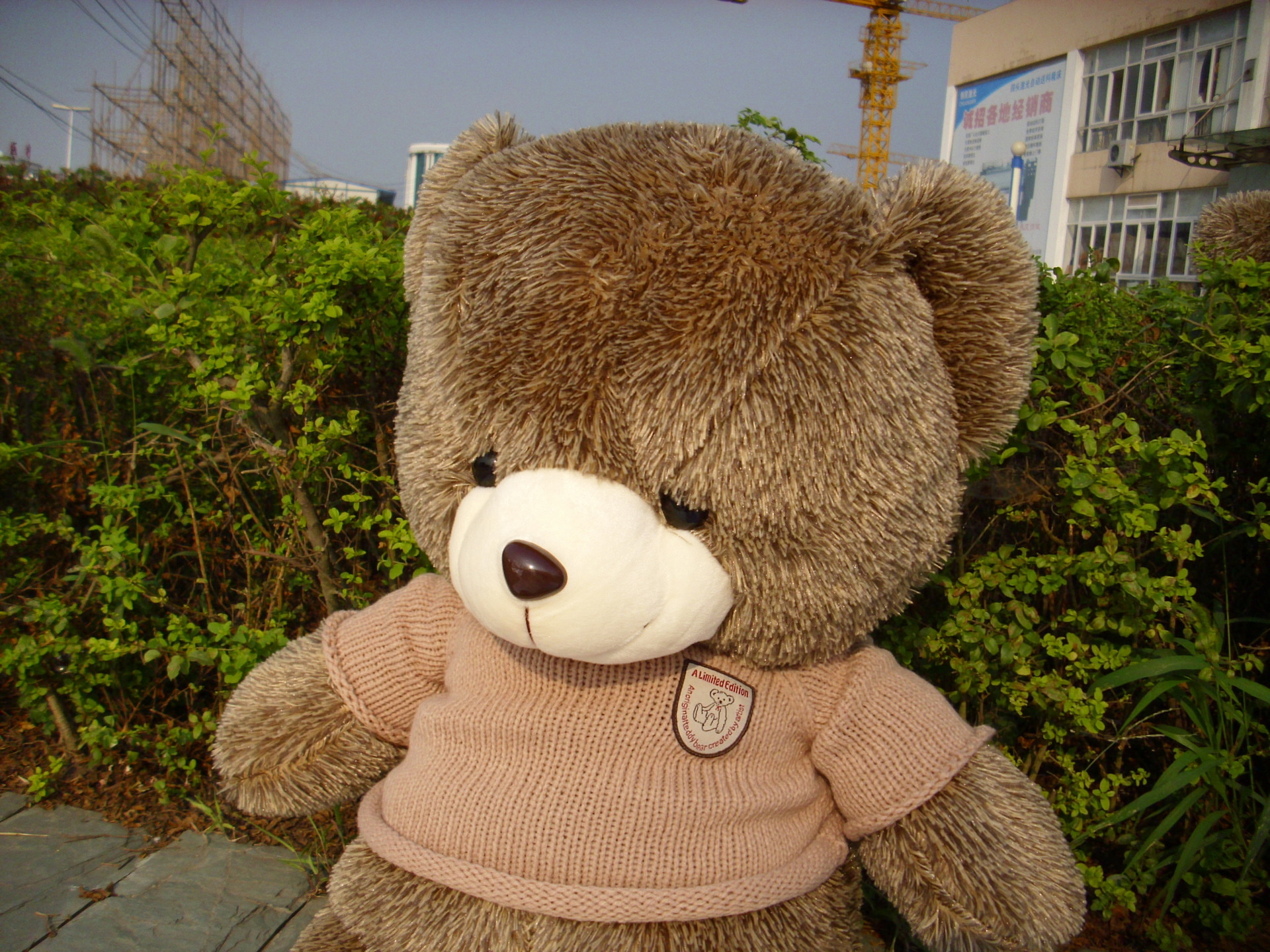 undefined