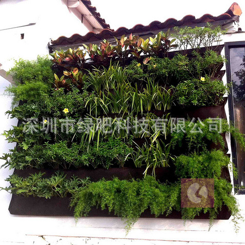 green wall panels