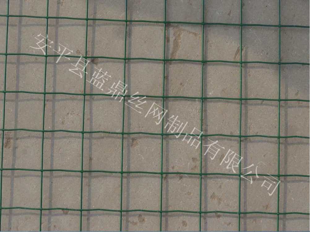 蓝鼎荷兰网89_副本