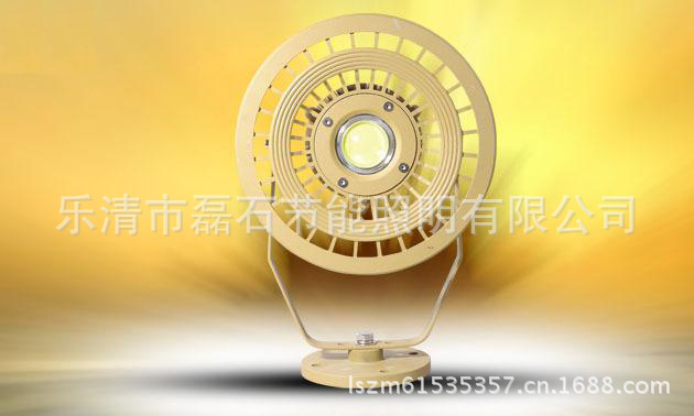 LSG95-70W (4)