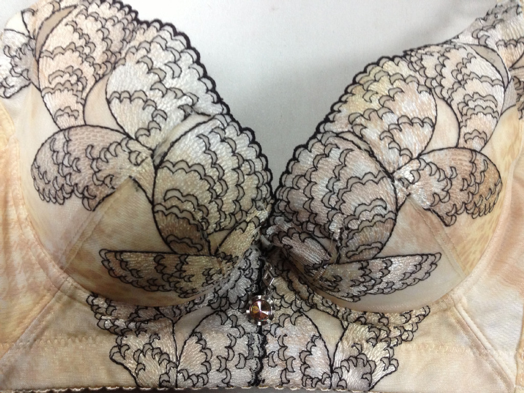 厂家直批新女士内衣<em>胸罩</em>精油<em>水袋</em>深V性感<em>文胸</em>