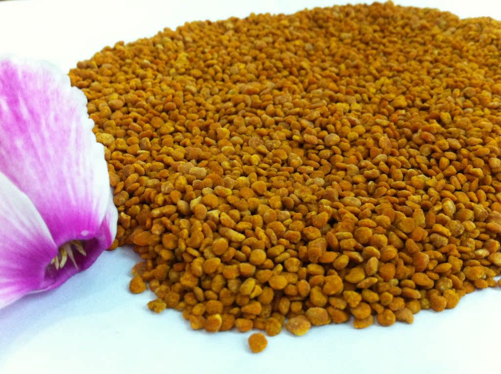 供应睿蜂坊优质纯98%茶花粉 茶花粉批发