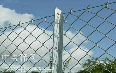 u=12918230,796189337&fm=23&gp=