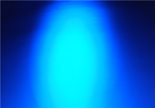 DSCF2861