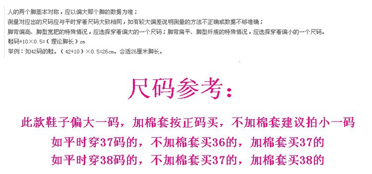 短筒四色蝴蝶