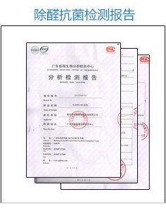 琅科空气净化器除醛抗菌检测报告