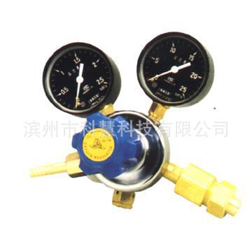 氮氣減壓器YQD-6