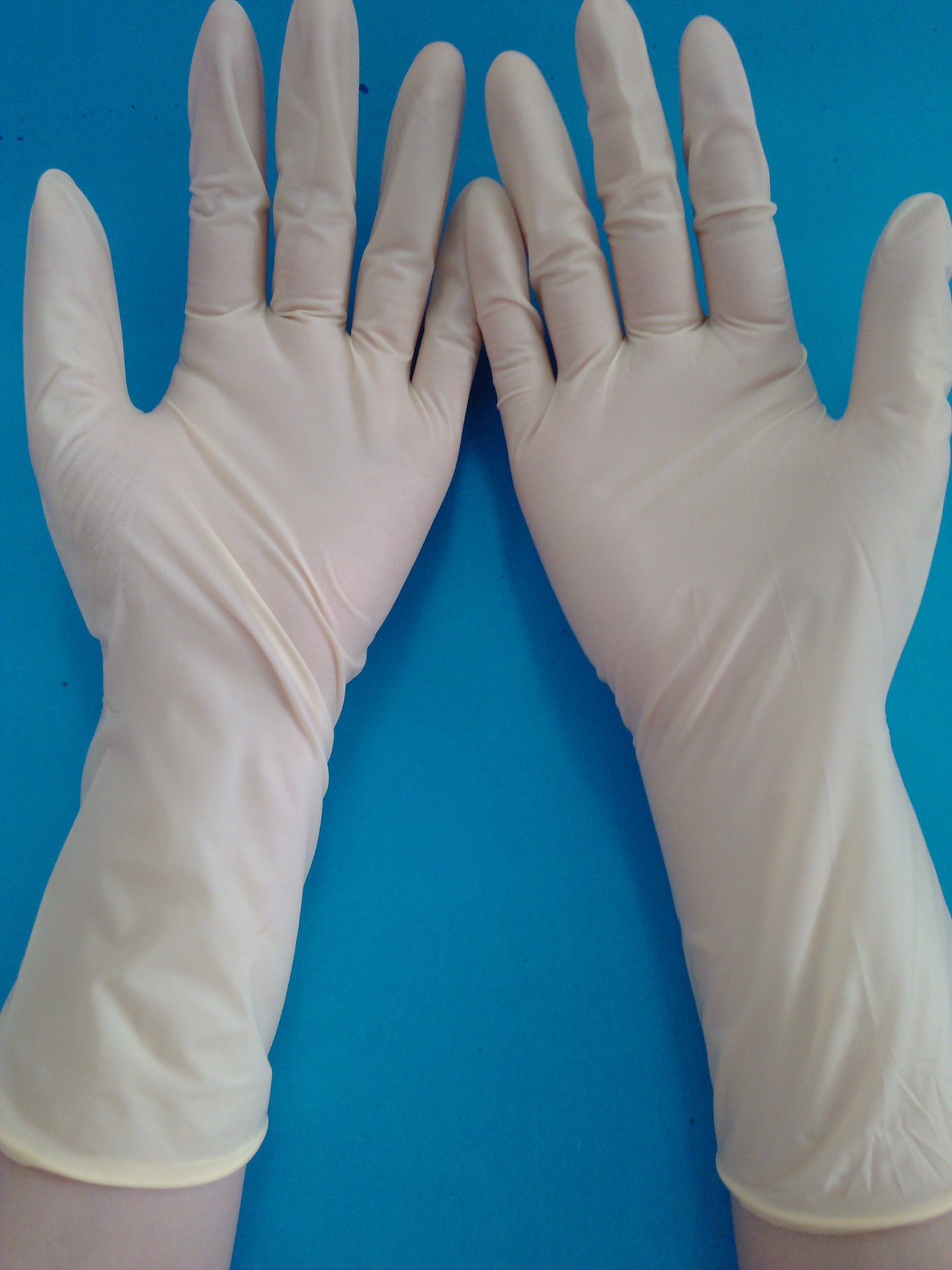 12寸净化光面乳胶手套 (3)