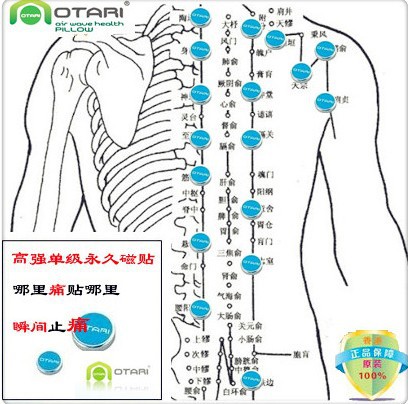 腰椎舒展器