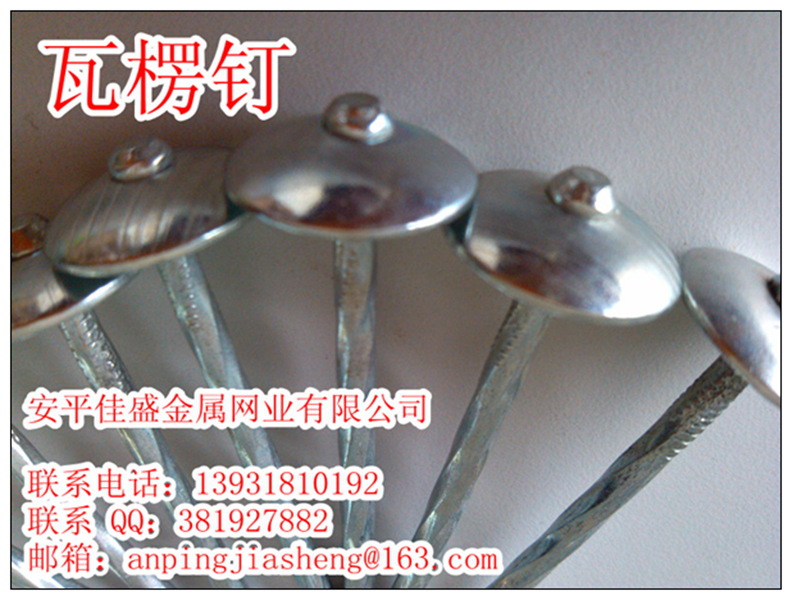 IMG_20120808_164833_副本